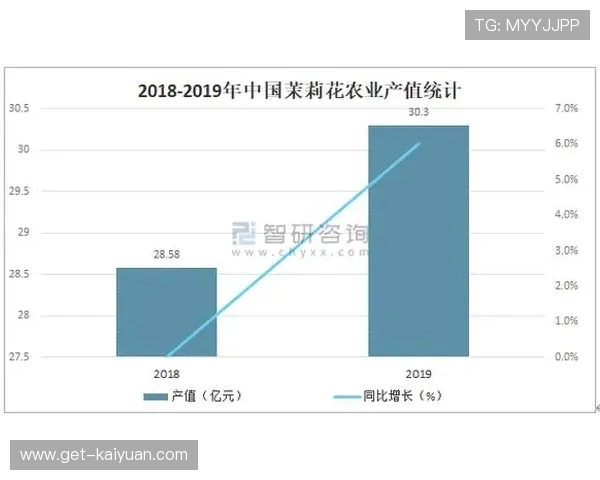 足球产业发展趋势与未来前景分析报告：市场规模、投资机会与挑战解析